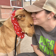 San Antonio Animal Rescues Request Locals to Adopt, Foster and Donate to Help Them Get Through the Pandemic