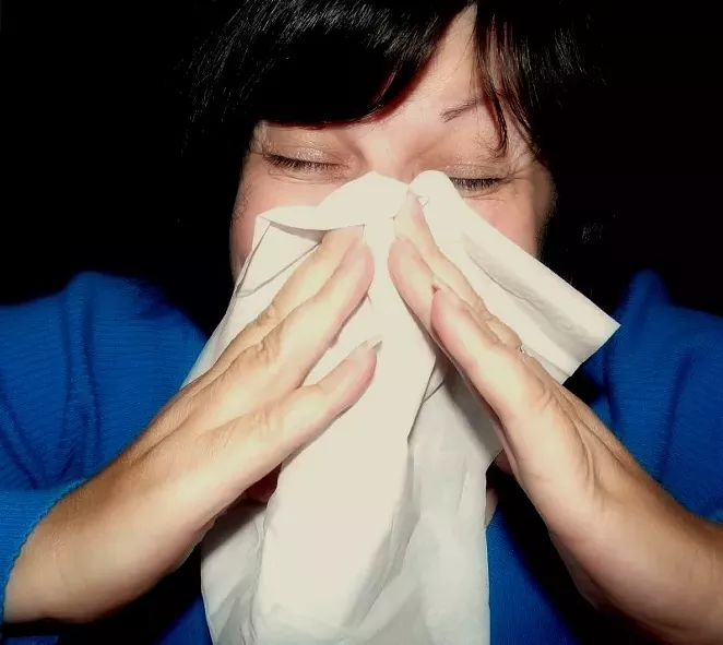 San Antonio's pollen count makes the city among the worst in the nation for spring allergies. - WIKIPEDIA COMMONS
