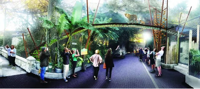 A rendering of the planned Jaguar Cat Walk - COURTESY OF THE SAN ANTONIO ZOOLOGICAL SOCIETY