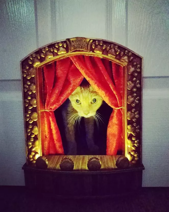 Ted makes his Teatro dei Gatti debut. - COURTESY OF SCOTT NEALE