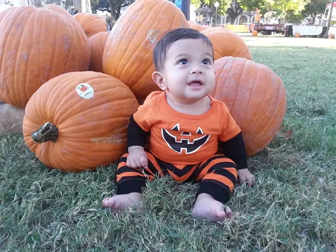 Put your kid amidst pumpkins and photograph him/her at the Centro San Antonio Flash Patch. - VIA CENTRO SAN ANTONIO/FACEBOOK