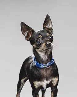 Bernie (in foster care)