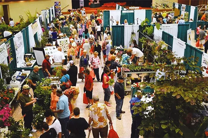 FESTIVAL OF FLOWERS