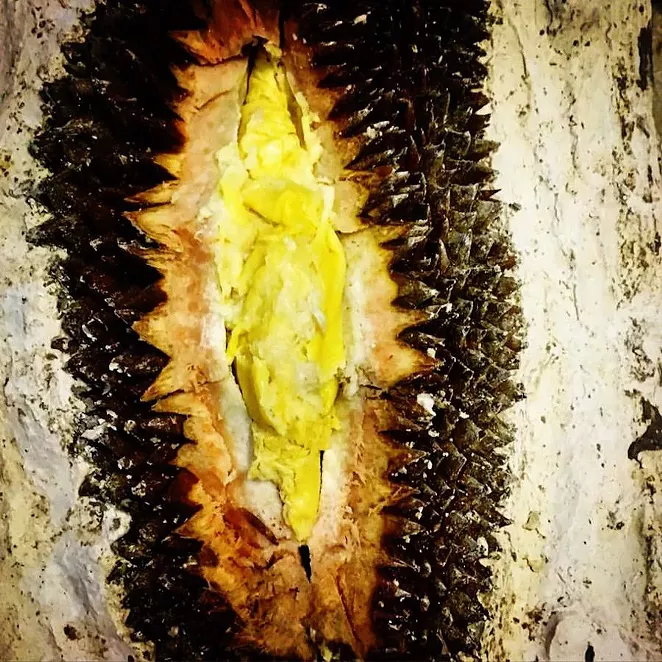 Kelly Johnston’s show at FLAX Studio consists of inorganic durians casted from plaster molds. (Courtesy of Kelly Johnston)