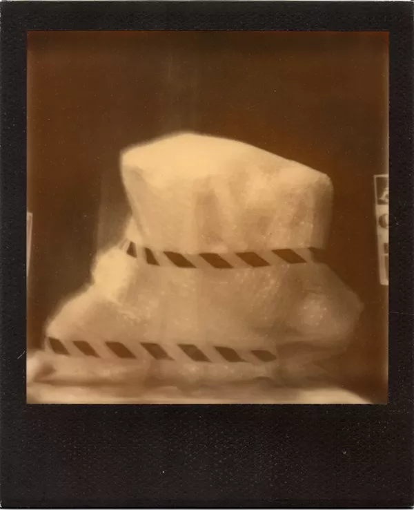 SETH ORION SCHWAIGER