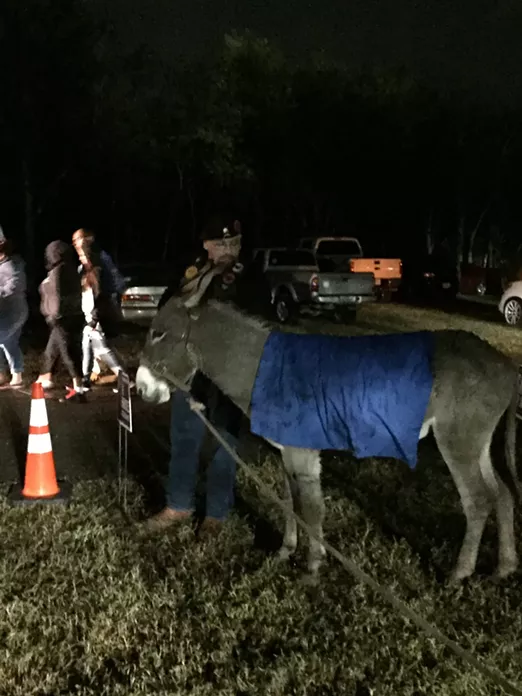 A sad, wet and blue donkey at the Bexar County Democrats' election-night watch party. - ALEX ZIELINSKI