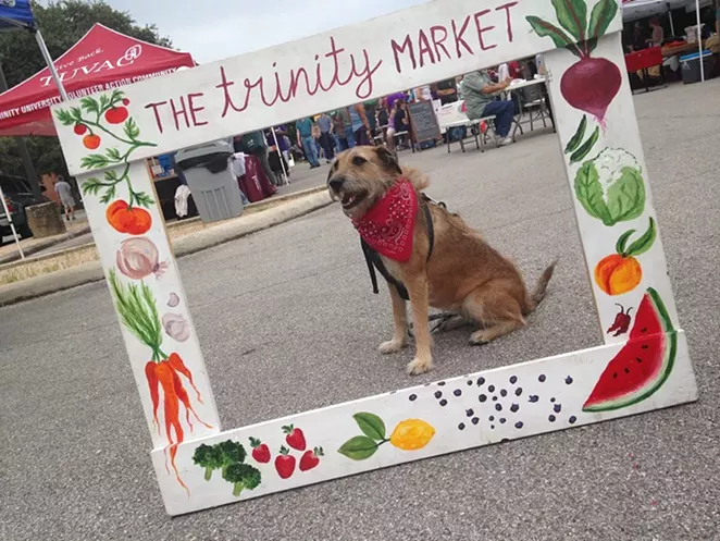 This pupper is going to have to find a new market photobooth. - FACEBOOK/TRINITY MARKET