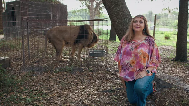 White tigers from Barkin's Big Cat Rescue served as the models for CGI zombie tigers in the movie Army of the Dead. - NETFLIX