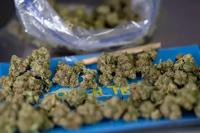 A planned petition drive in San Marcos could lead to decriminalization of pot possession there. - UNSPLASH / MARTY O’NEILL
