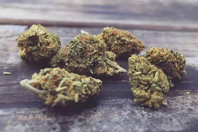 Smokeable hemp, including flowers like these, are legal to sell in Texas under a new court ruling — just not legal to process here. - UNSPLASH / CANVASTSUPPLYCO