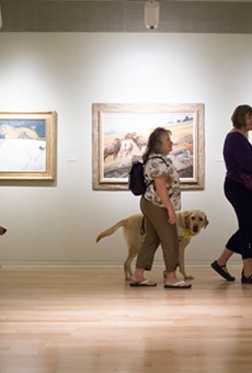 Visitors with visual impairments explore the museum with their guide dogs.