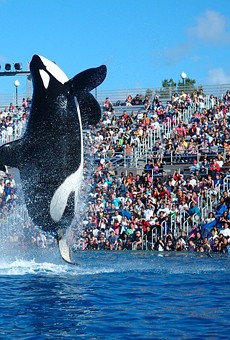 SeaWorld San Diego is replacing its live orca show with another show involving orcas.