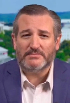 Ted Cruz falsely claims in interview that he 'disagreed' with Trump's rhetoric 'many, many times'