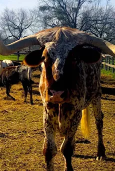 A trek through the Medina River Valley is a journey into San Antonio&rsquo;s rich past