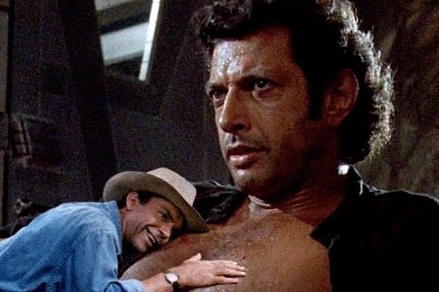 Treasured Chest Actor Jeff Goldblum S Popularity Rises In Recent Years Than...