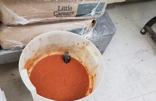 Former Manager Of San Antonio Little Caesars Store Posts Photos Of Rats In Pizza Sauce Trash Flavor