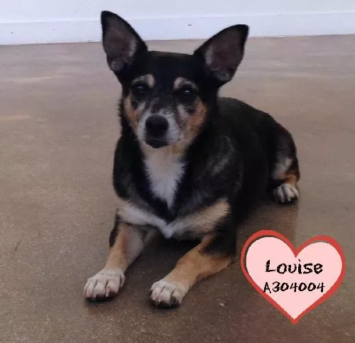 As the more outgoing of the two, Louise will bring Thelma out of her shell