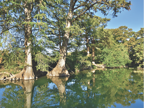 GUADALUPE RIVER STATE PARK, PHOTO BY JUSTIN MOORE