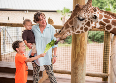 SAN ANTONIO ZOO