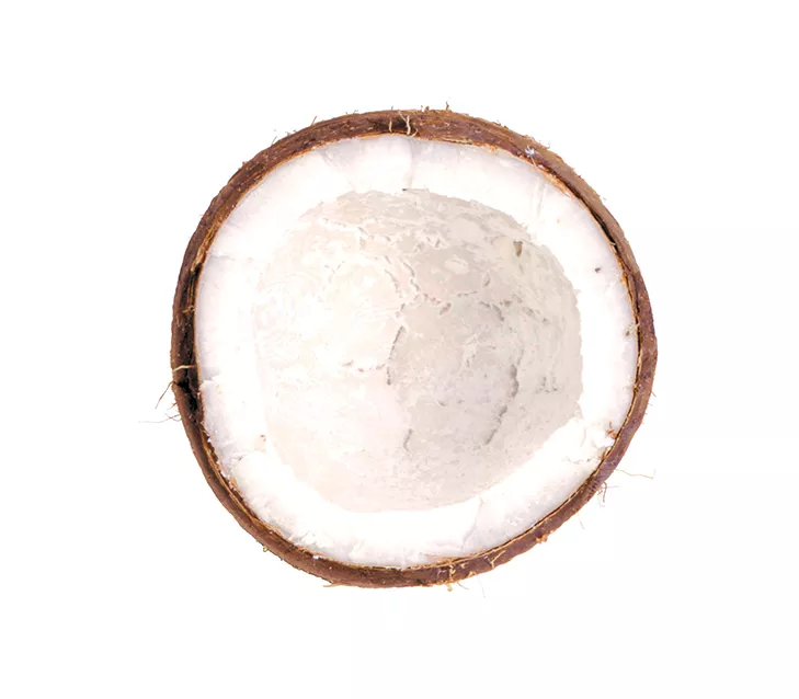 CHUCK RAMIREZ, COCONUT SERIES, INNER SHELL, 1997