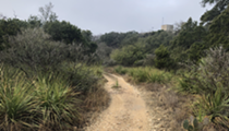 San Antonio&rsquo;s new greenway trails offer a view of the city we otherwise might zoom past