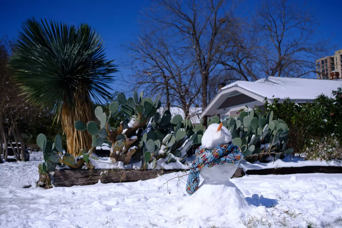 Snow In San Antonio 2024 Drusi Meredithe
