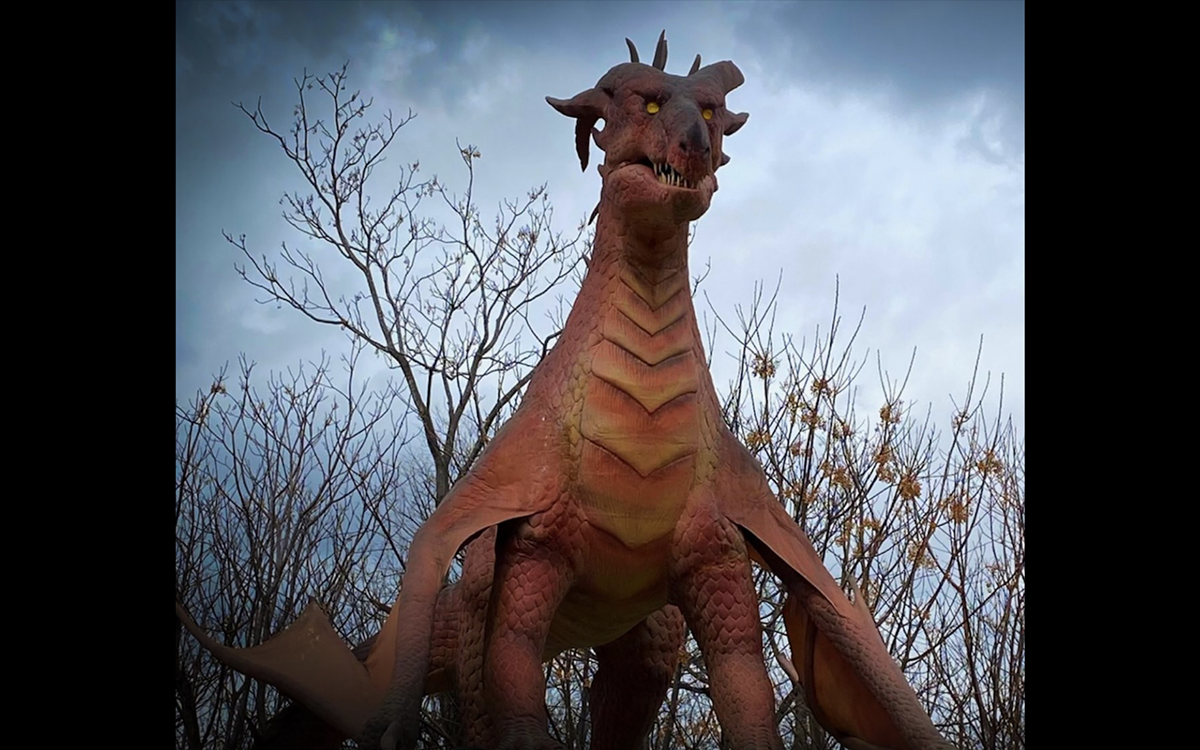 San Antonio Zoo brings fantasy to life with new Dragon Forest attraction - Vimarsana News