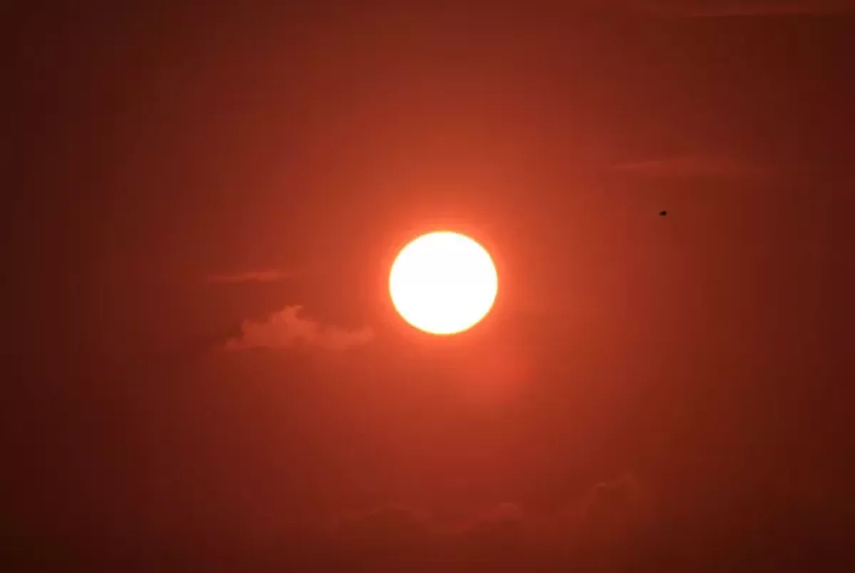 Severe weather this summer could cause another Texas power crisis - Vimarsana News