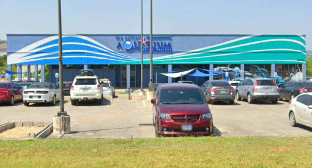 PETA asks feds to yank license of San Antonio Aquarium, saying a convicted wildlife trafficker owns it - Vimarsana News