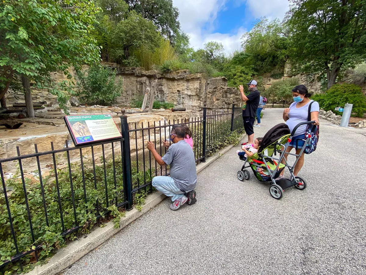 San Antonio Zoo honors Betty White with free admission for seniors, admission discounts - Vimarsana News
