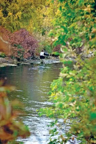 vivianpark_flyfishing_250.jpg