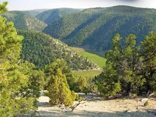 A canyon adjacent to the Book Cliffs that will be affected by the tar-sands mine - JOHN WEISHEIT, LIVING RIVERS