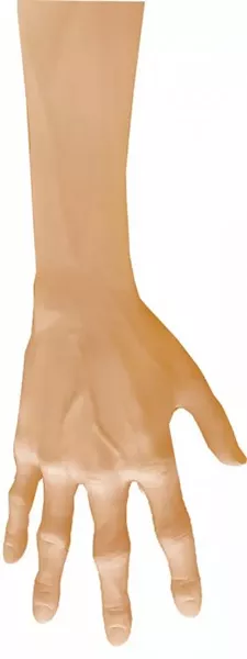 art6390widea.jpg