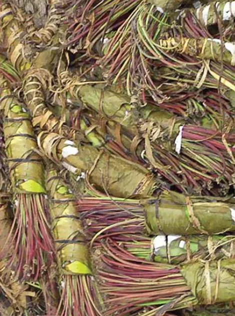khat.jpg