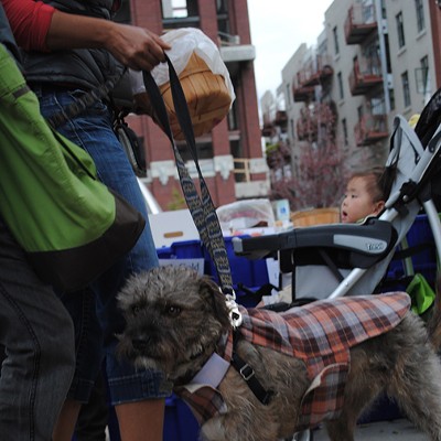 Downtown Farmers Market (10.20.12)