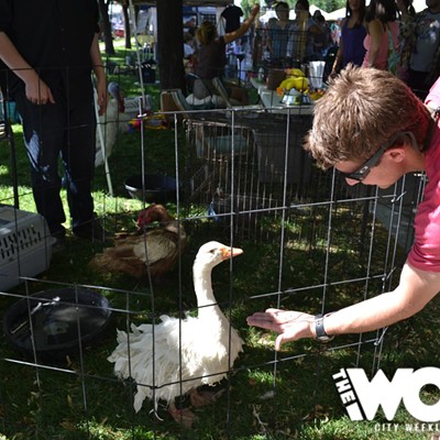 Downtown Farmers Market (6.23.12)