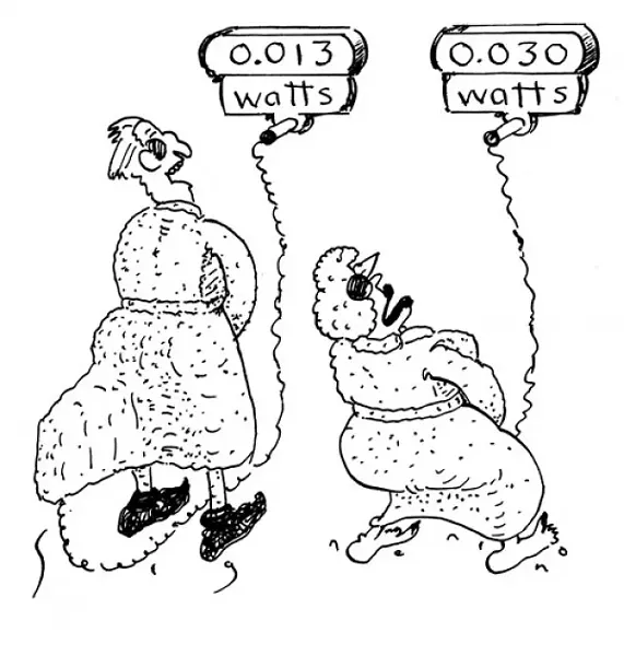 art18902.jpg