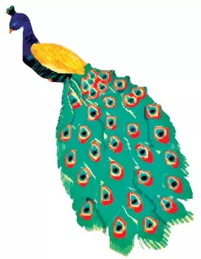 justpeacock.jpg