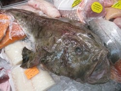 fish_201_1.jpg