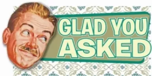 Glad You Asked Bees Beer Ballet Buzz Blog Glad You Asked Bees Beer Ballet Buzz Blog