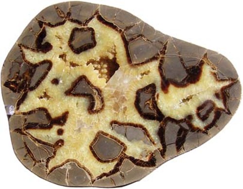 rockhounding_septarian0013.jpg