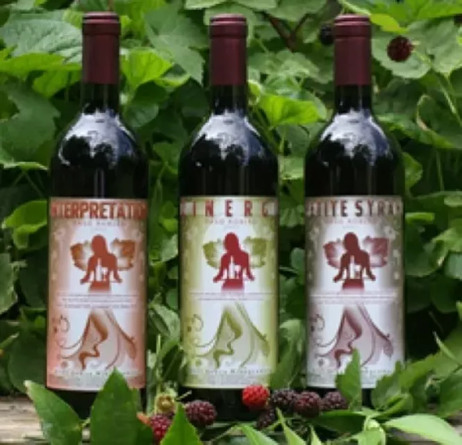 Kiler Grove Winegrowers & Dojo Wine Salt Lake City Weekly