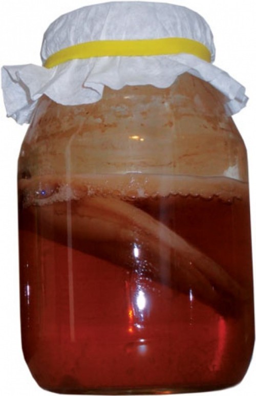 Kombucha fermenting