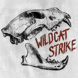 wildcatstrike.jpg