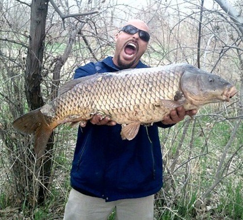 leader exit lamp Locals Catch Freakishly Huge Fish From South Jordan River | Buzz Blog