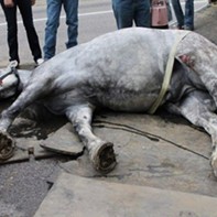 Petitions Call for End to Horse-Drawn Carriages in SLC