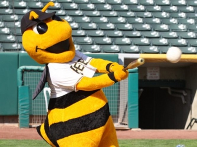 salt lake bees baseball mascot｜TikTok Search