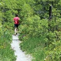 Summer Guide &rsquo;08 | Trail Mix: Best hikes in and around Salt Lake City