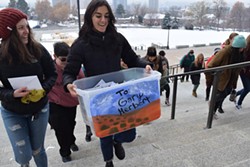 Josee Stetich carries a box of nearly 4,000 letters in support of public lands addressed to Gov. Gary Herbert up the Capitol steps. - RAY HOWZE