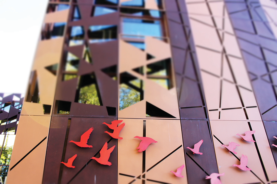 Laser-cut panels outside Tracy Aviary’s façade, AJC Architects - ENRIQUE LIMÓN